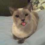 Profile Picture of Keith Teague (@keith.teague) on Instagram