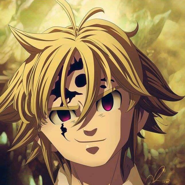 Profile Picture of Tomas Jaklin (@kingmeliodasofficial) on Tiktok