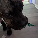 Profile Picture of James Lanphier (@James-Lanphier) on Facebook