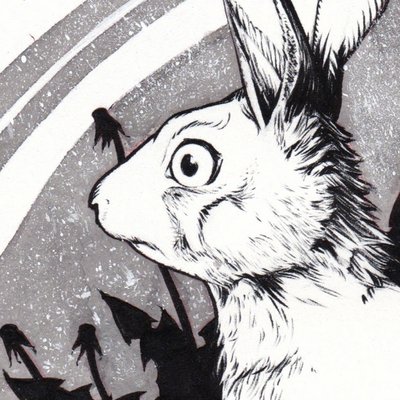 Profile Picture of Sam Borg (@romanparrot) on Twitter