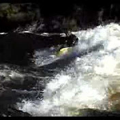 Profile Picture of Joseph Hines (@hinesmaine) on Youtube