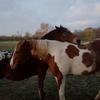 Profile Picture of Sherri Brower465 (@@user6196838780079) on Tiktok