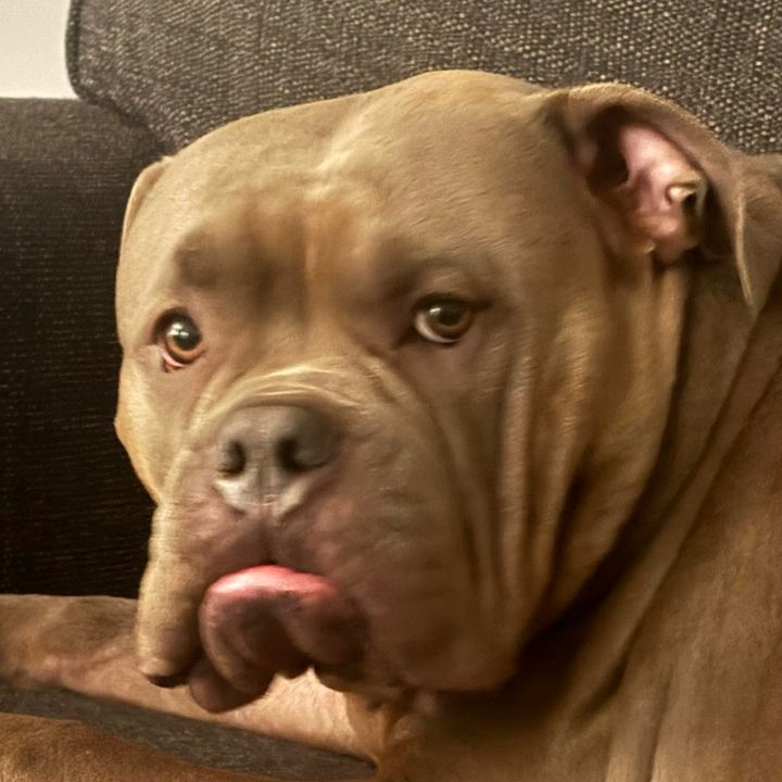 Profile Picture of Alexandria Rose (@bubbabear01) on Tiktok