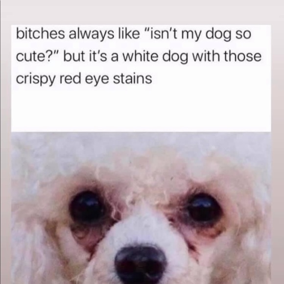 Profile Picture of Thomas Rains (@rains12) on Poshmark