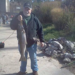 Profile Picture of Reggie Huff (@reggie.huff.735) on Facebook