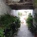 Profile Picture of Daniela Casadei-Berwind (@casadeiberwind) on Pinterest