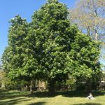 Profile Picture of Naomi (@n_eff_hirst) on Instagram