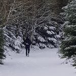 Profile Picture of Tom Krause (@_tom_krause_) on Instagram