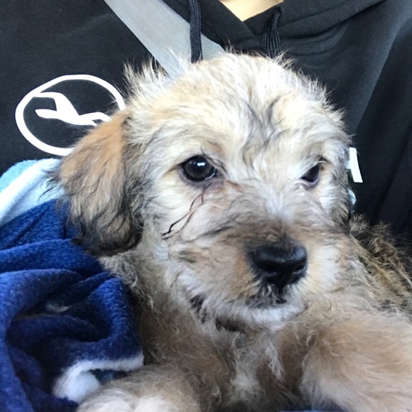 Profile Picture of Andrew Gutierrez (@andy286) on Poshmark