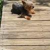 Profile Picture of Joy Blevins (@@user78677250) on Tiktok