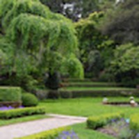 Profile Picture of Joanne Escobar (@joanne-escobar-6) on Quora