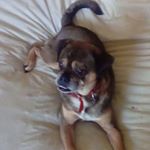 Profile Picture of Tanner Mueller (@cats_need_rights) on Instagram