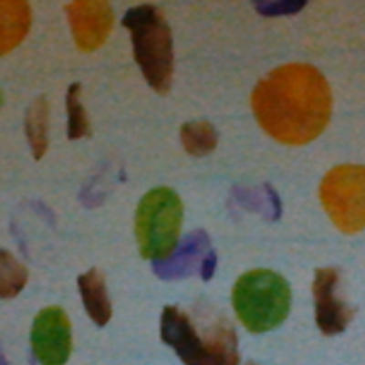 Profile Picture of Joshua Archie (@doggy_lover21) on Twitter