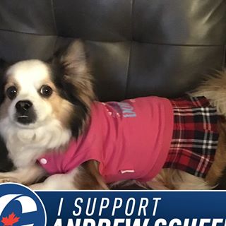 Profile Picture of Kim Sproul (@kim.sproul.92) on Facebook