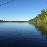 Profile Picture of Art Helfeldt (@arthelfeldt) on Instagram