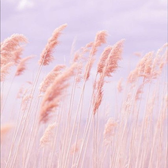 Profile Picture of Kati Foster (@kati_jane17) on Poshmark