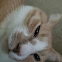 Profile Picture of Joey Benavides (@joey-benavides-5) on Quora