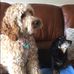 Profile Picture of Iris Walton (@iris.walton.121) on Facebook