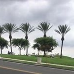 Profile Picture of Dionicia Gonzalez (@gonzalez_dionicia) on Instagram