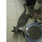 Profile Picture of nicholas tastinger (@nygon08) on Instagram