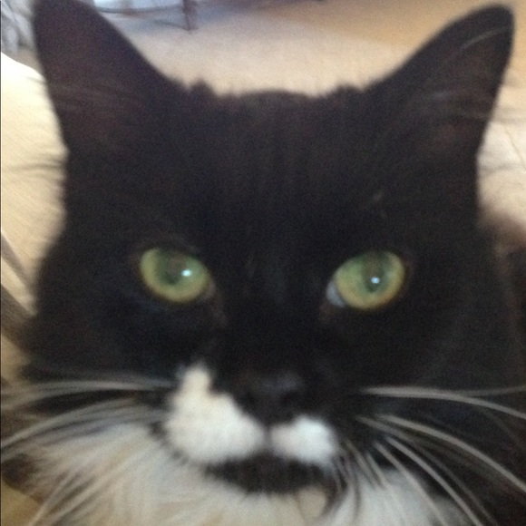 Profile Picture of Phyllis Miles (@stetsonboy) on Poshmark