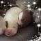 Profile Picture of Tony Twitty (@tony.twitty.75) on Facebook