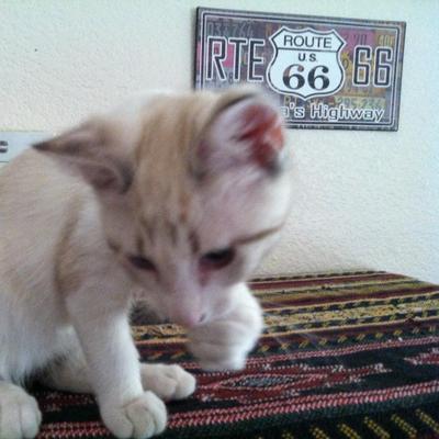 Profile Picture of Sunny Wright (@sunny1029sunny) on Twitter