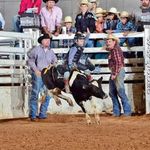 Profile Picture of Thomas Willard (@thomas_twister_t) on Instagram