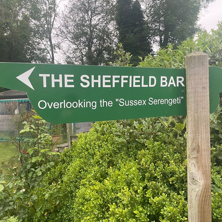 Profile Picture of Tony (@tonnnyu) on Tiktok