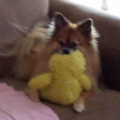 Profile Picture of Connie L Noble (@connieandstan) on Tiktok