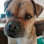 Profile Picture of Julien Lamothe (@julien.lamothe.98) on Facebook