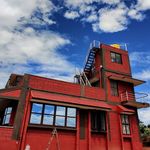 Profile Picture of Bala's Branches (@balasbranches) on Instagram