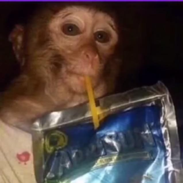 Profile Picture of rini (@leonardriniker) on Tiktok