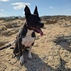 Profile Picture of David Longworth (@@user883103739070) on Tiktok