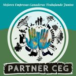 Profile Picture of PARTNER CEG | Michael Rúa Franco (@partnerceg) on Instagram