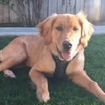 Profile Picture of Matt Teagarden (@matt.teagarden) on Facebook