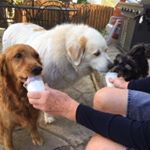 Profile Picture of John Morello (@morello.john) on Instagram