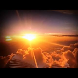 Profile Picture of Ayala Levy (@Ayala-Levy) on Facebook