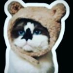 Profile Picture of Brandon💩 (@brandon_dahmen) on Instagram