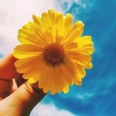 Silvana Martins - Twitter Profile Picture of Silvana Martins (@sylvannaallves) on Twitter