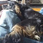 Profile Picture of Kevin Martens (@kpm49321) on Instagram