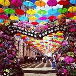 Profile Picture of Rajib chowdhury (@chowdhury9832) on Instagram