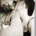 Profile Picture of Chad Adkins (@chad.adkins.988) on Facebook