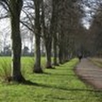 Profile Picture of Meghan Tobin (@meghan-tobin-5) on Quora