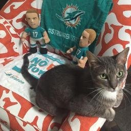 Profile Picture of Laurie M Kramer (@lmkramer429) on Twitter