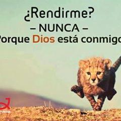 Profile Picture of Jose Rosero (@joserosero19) on Twitter