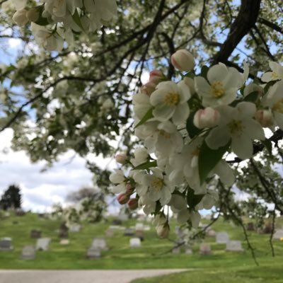 Profile Picture of Trevor Haynes (@Trevor_Haynes) on Twitter