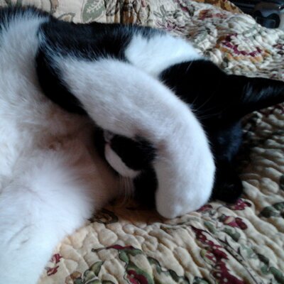 Profile Picture of Richard Winkler (@rwink5) on Twitter