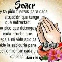 Profile Picture of Luis Toruño F (@LuisToruoF1) on Twitter