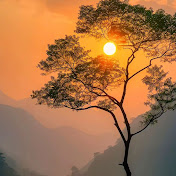 Profile Picture of Allison Edwards (@AllisonEdwards-y1e) on Youtube